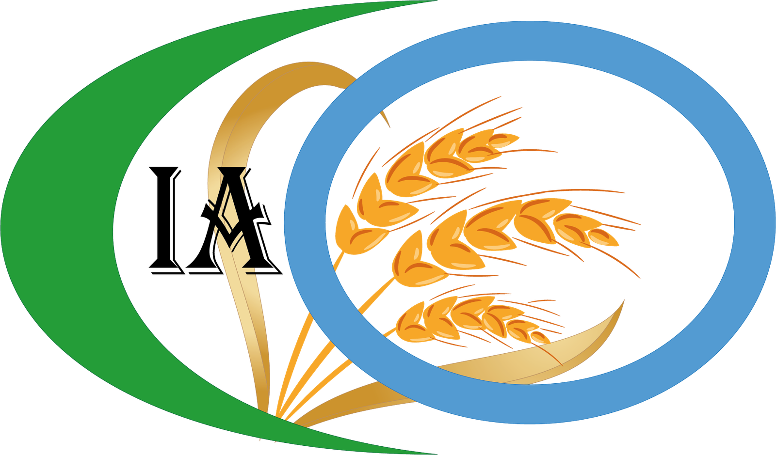 iaco